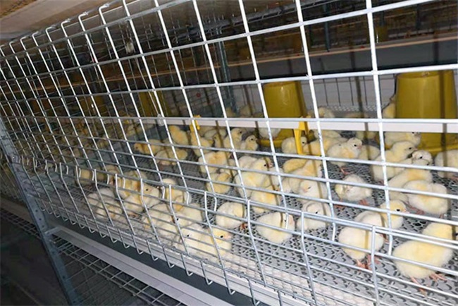 北方畜牧业常备的养殖供暖设备