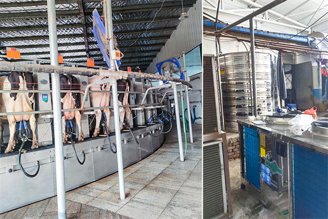 用于牧场挤奶设备清洗的工业高温热水机