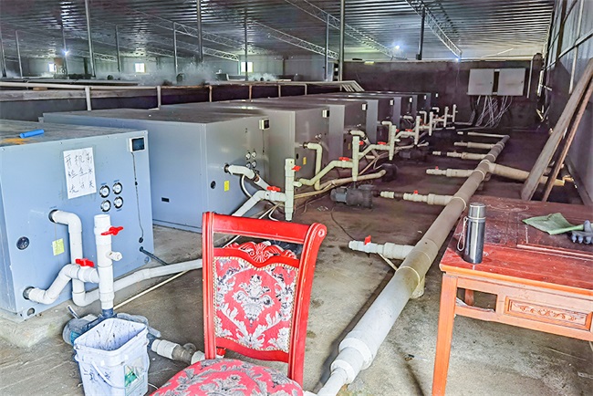 鳗鱼恒温养殖就选碧涞水源热泵机组