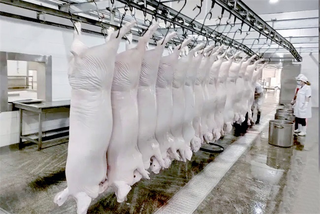 屠宰行业应用复叠式水源热泵机组的效果