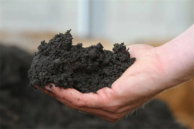 碧涞热泵烘干机：为化工行业低成本处理化工污泥带来新革命