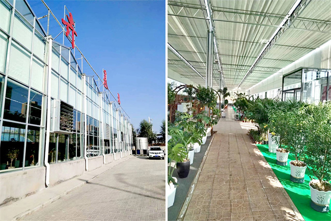 山西省太原市侯方花卉市场展厅恒温种植项目:碧涞空气能热泵助力打造舒适恒温环境