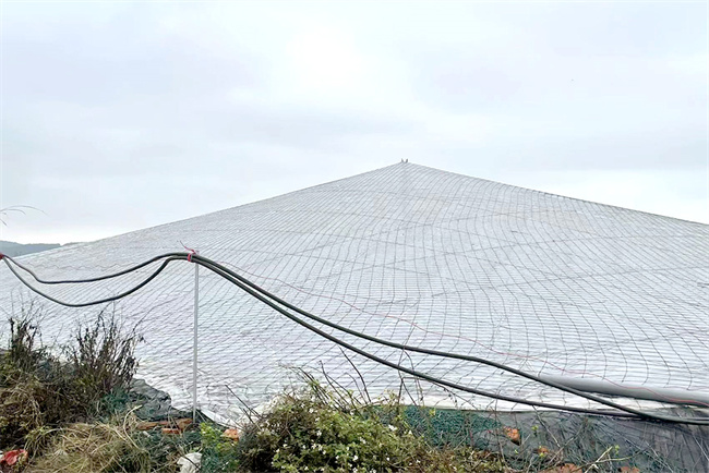 福建漳州漳浦斑节虾恒温养殖项目：碧涞变频恒温养殖热泵推动绿色、智能养殖新模式