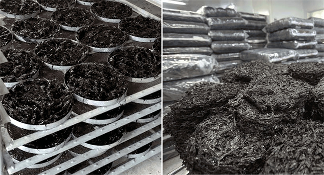 农产品烘干行业:探索可持续发展之道