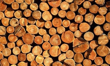 高温热泵工程让木材更稳定