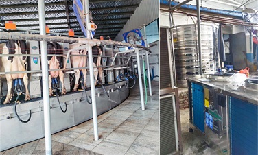 碧涞空气能热泵应用新突破，85℃高温热水助力牧场低碳化