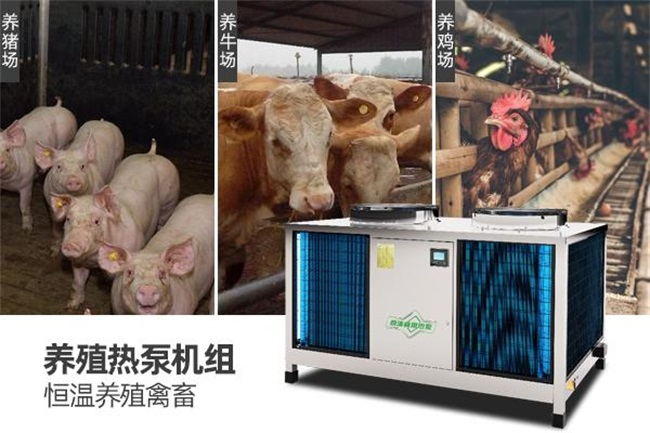 空气能热泵采暖对养猪场节能降耗的意义
