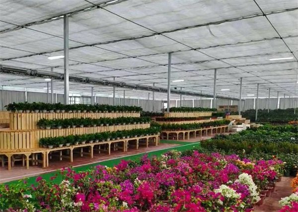 花卉大棚供暖用空气能热泵，恒温安全更经济
