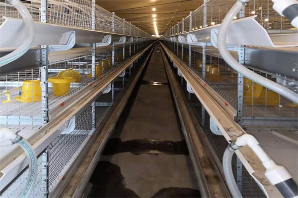 养鸡场为何爱用空气能热水采暖，安全节能是关键